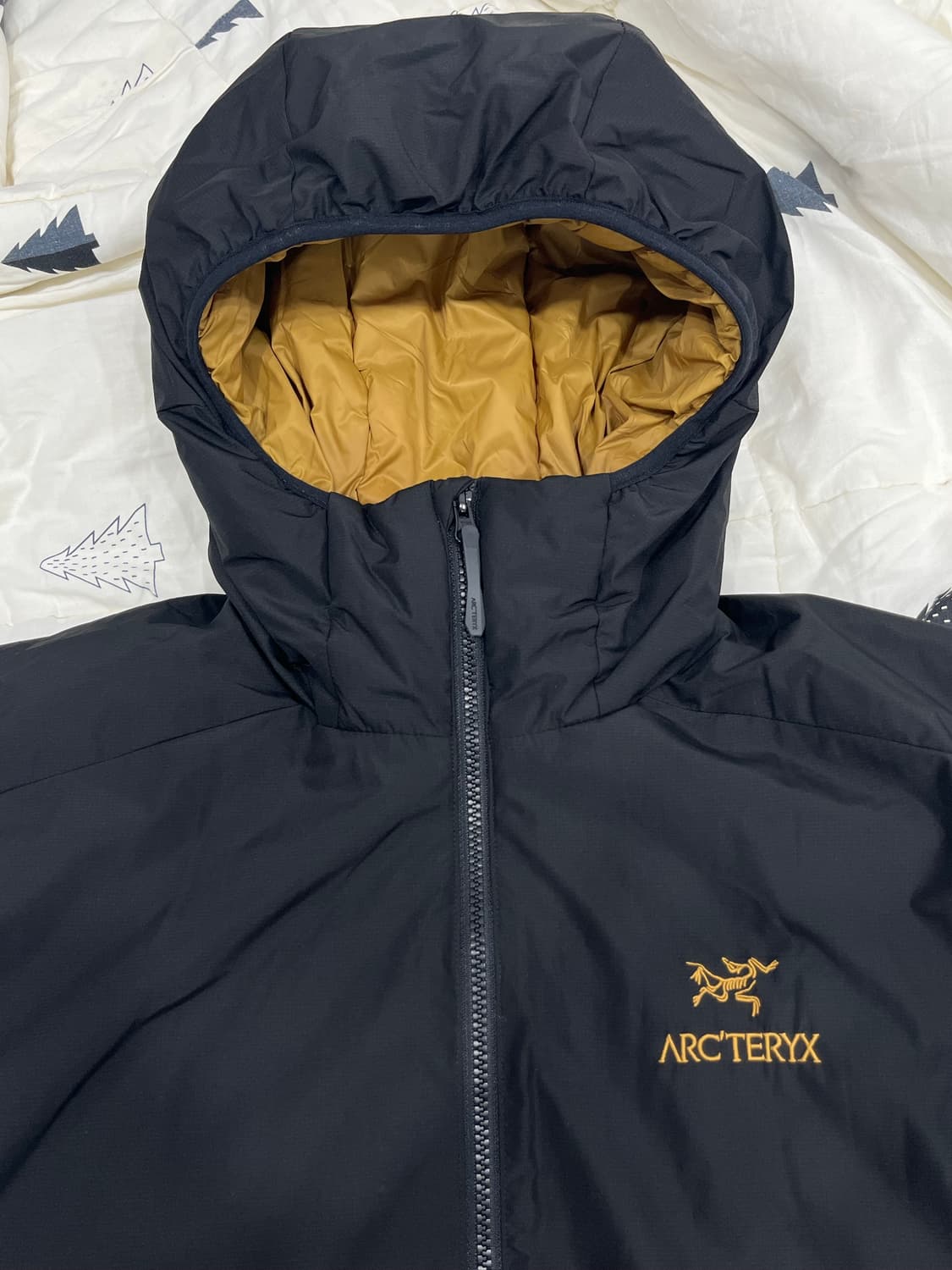 아크테릭스 아톰 AR 빈티지 상품이미지1