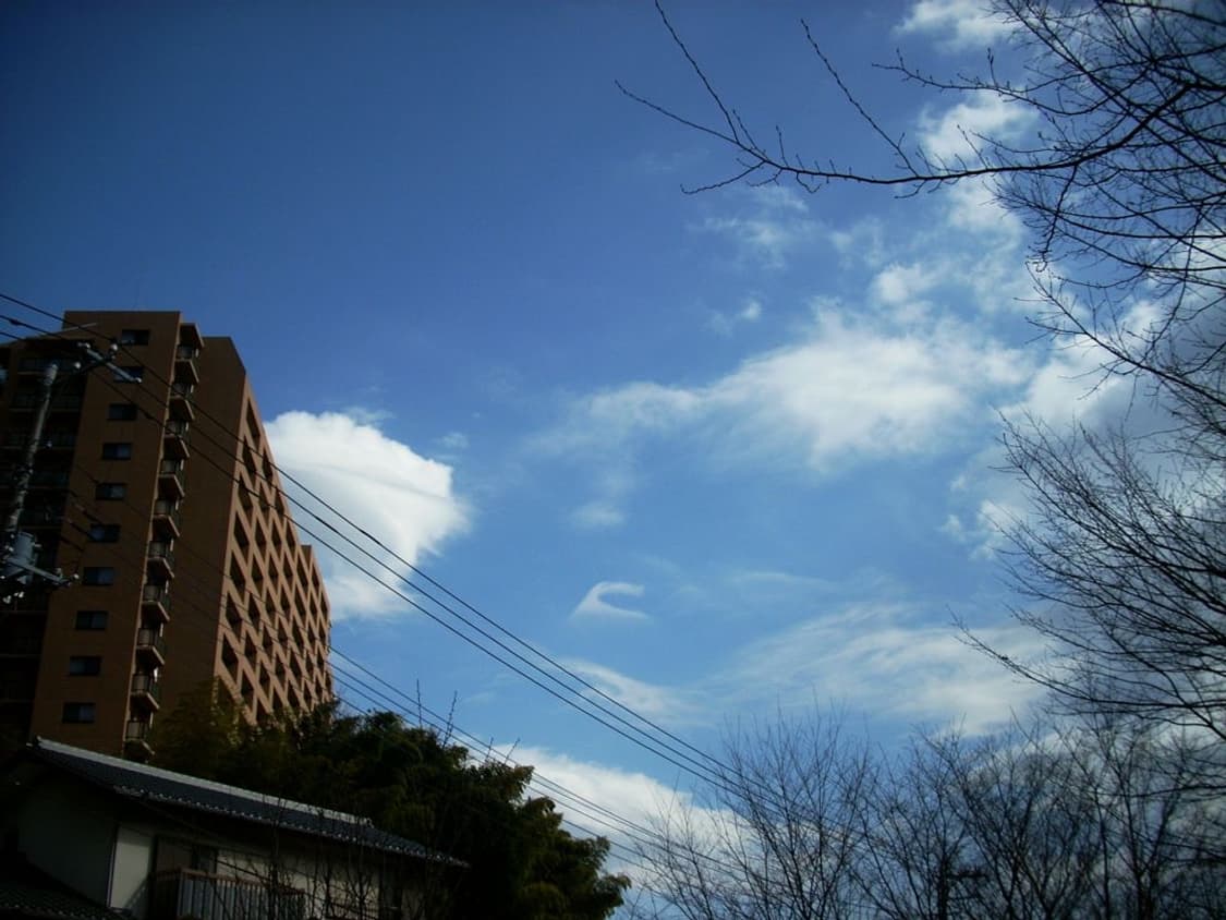 니콘 쿨픽스 Nikon Coolpix L11 실버 상품이미지2