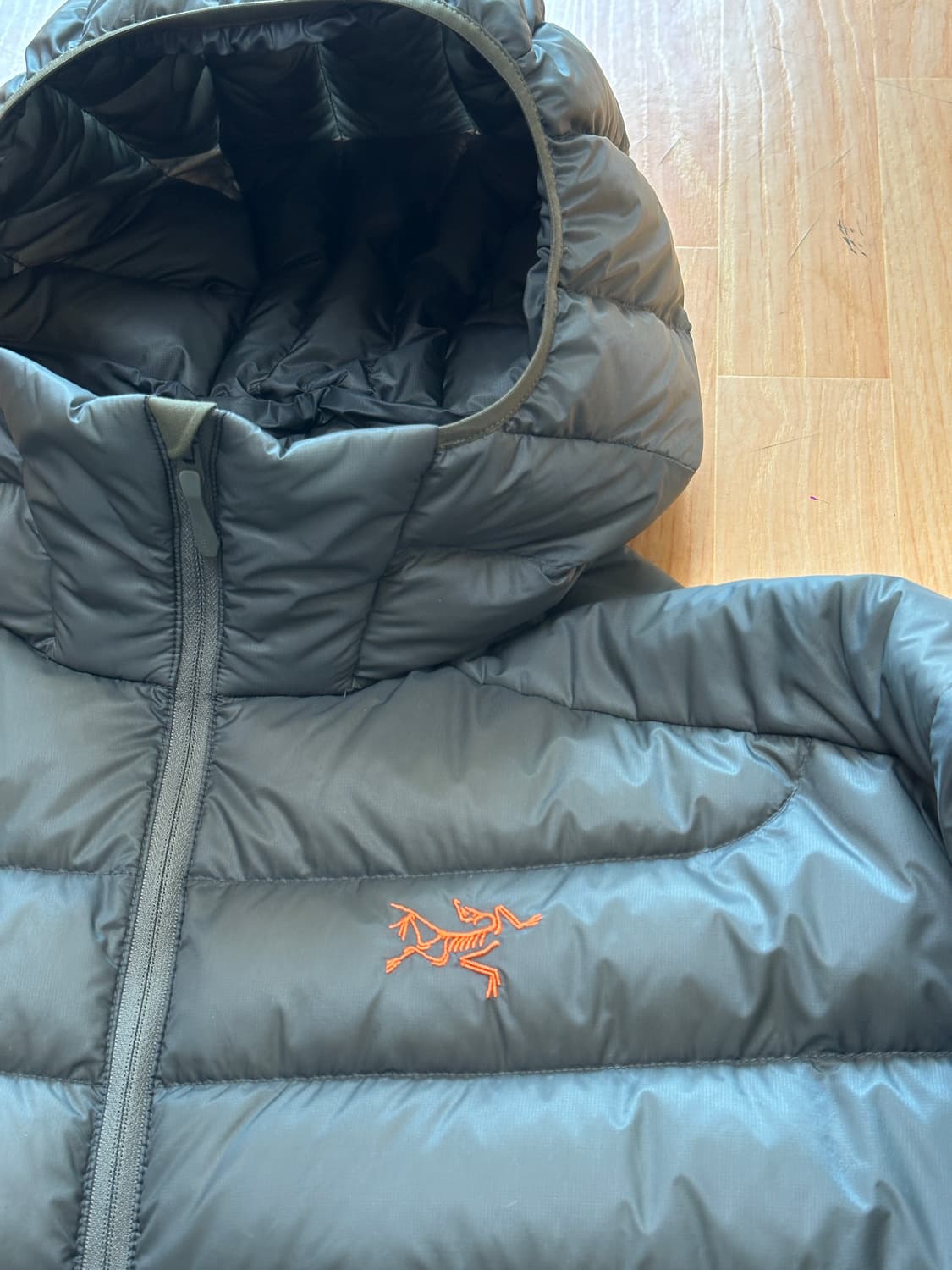 아크테릭스 세륨 후디 포리지 2XL XXL 상품이미지3