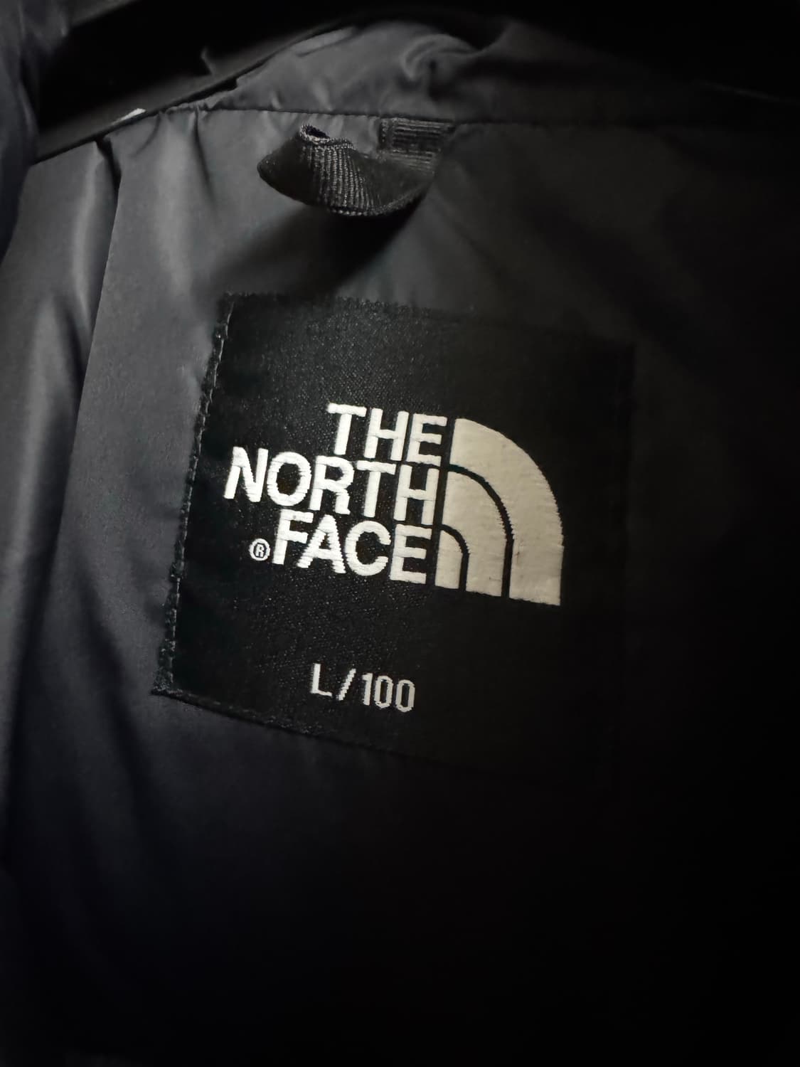 노스페이스 1996 에코 눕시 패딩 L 상품이미지3