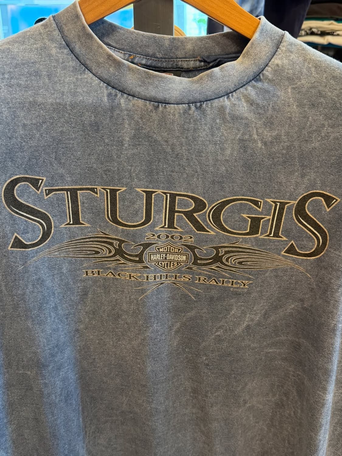 🏍 HARLEY-DAVIDSON STURGIS 빈티지 2002 티셔츠 상품이미지2