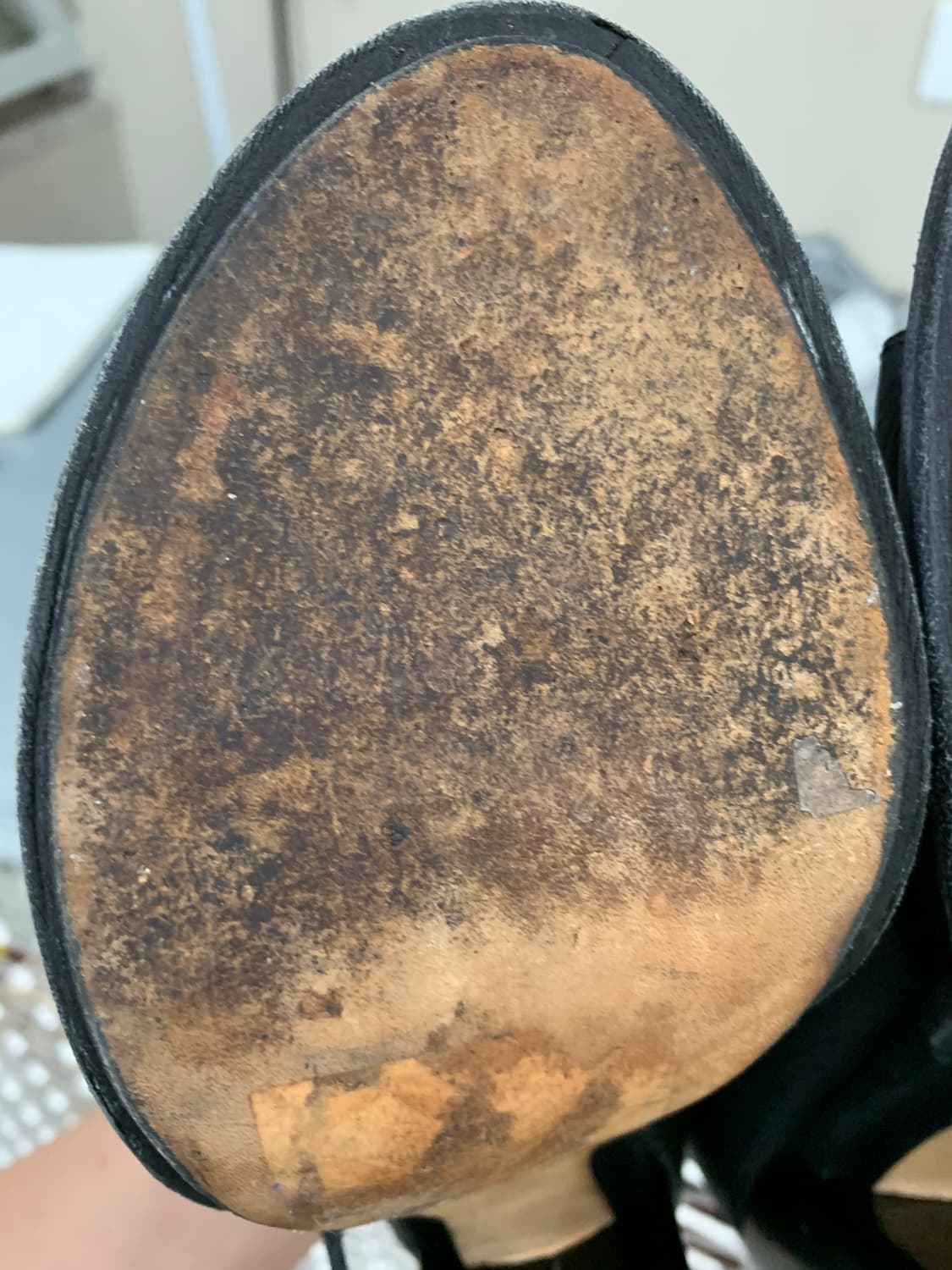 알렉산더왕 가죽 앵클 스트랩 샌들 38(240) 상품이미지4