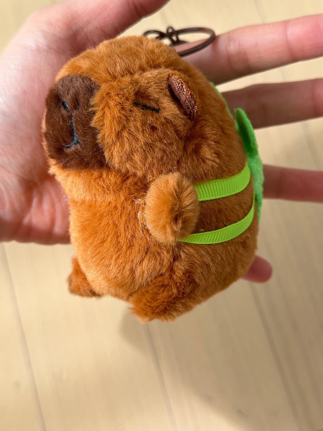 귀요미 카피바라인형 상품이미지2