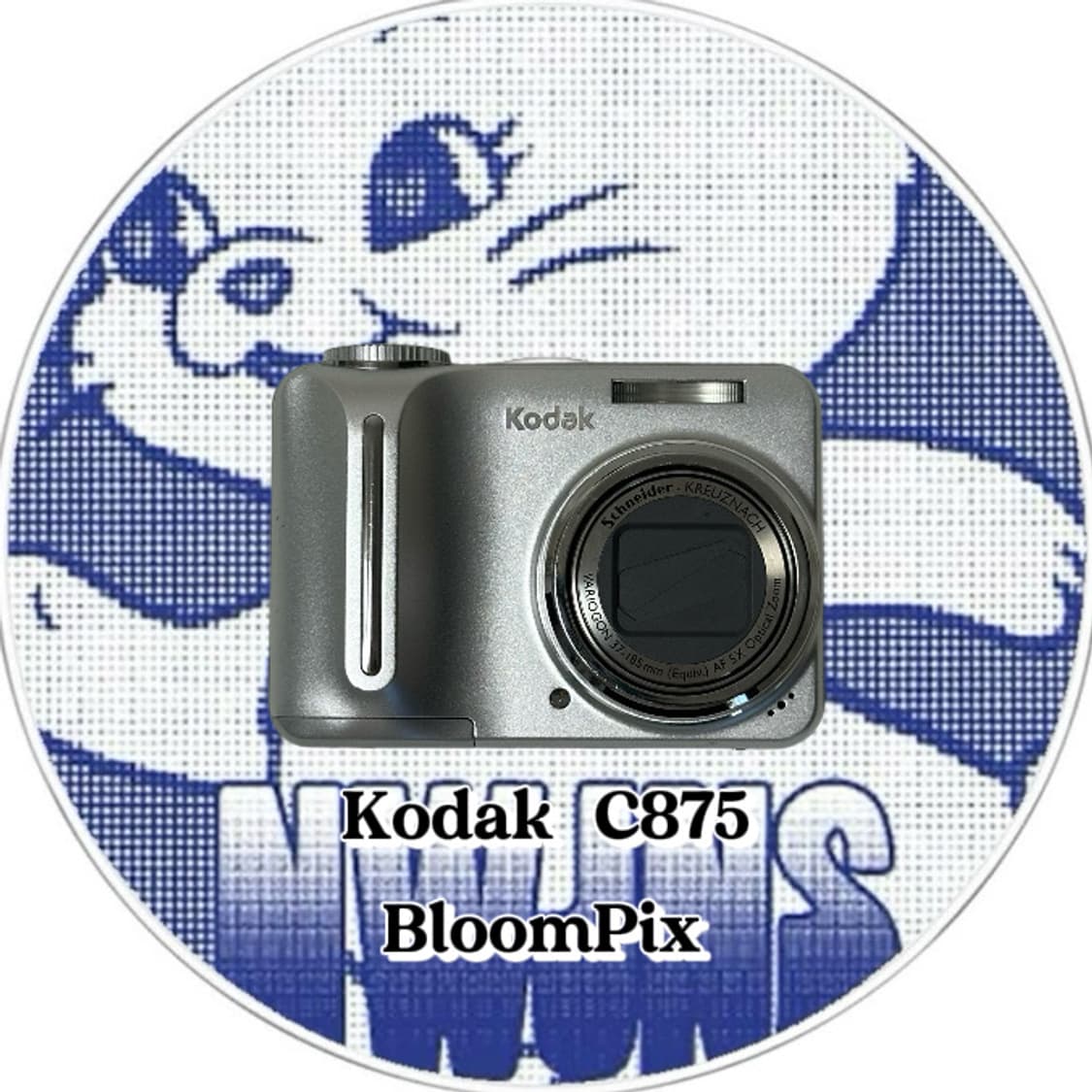 [뉴진스디카/풀구성] 코닥 C875 Kodak C875 디지털카메라 상품이미지1