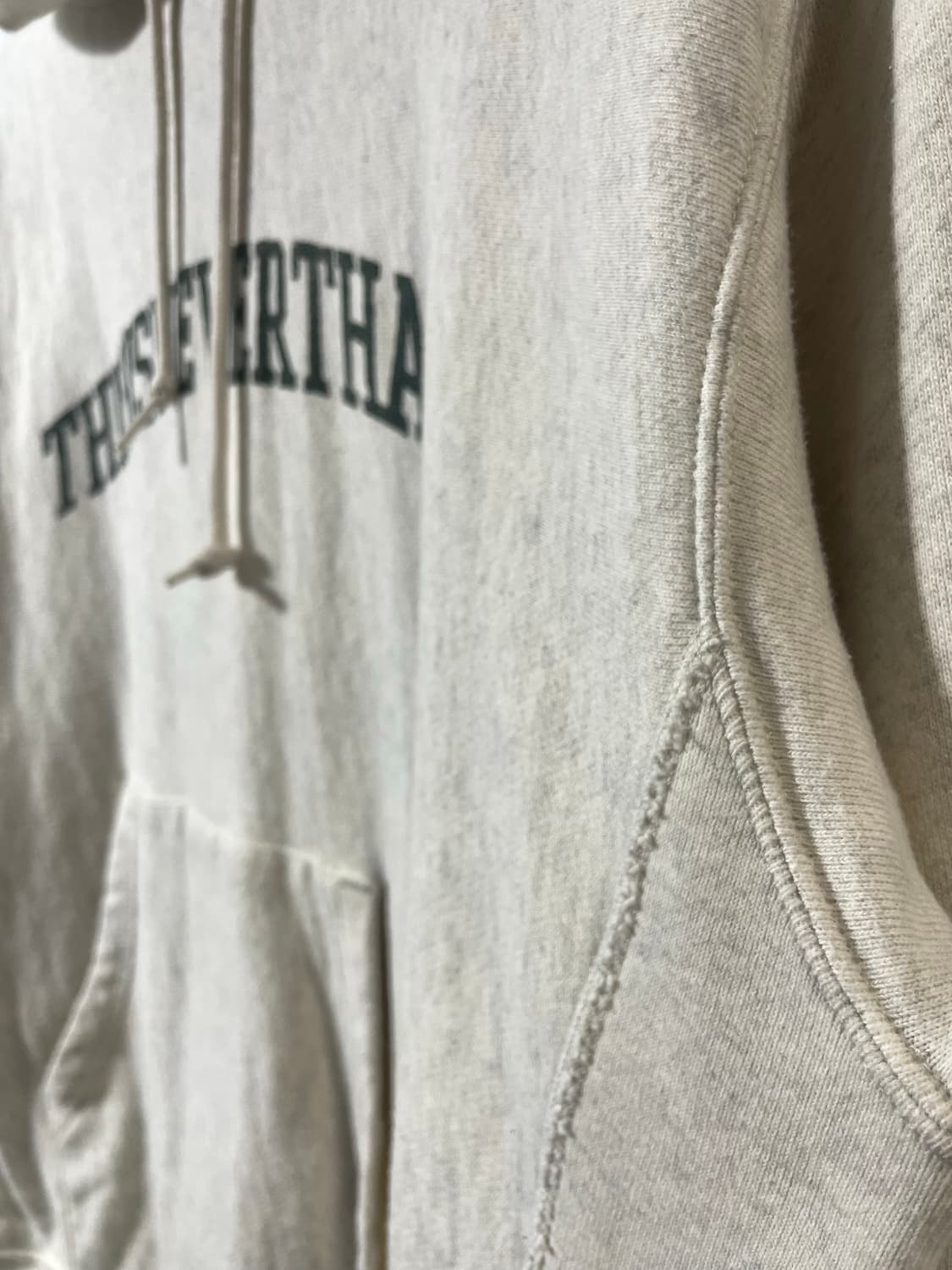 디네댓 챔피온 리버스위드 후드 상품이미지5