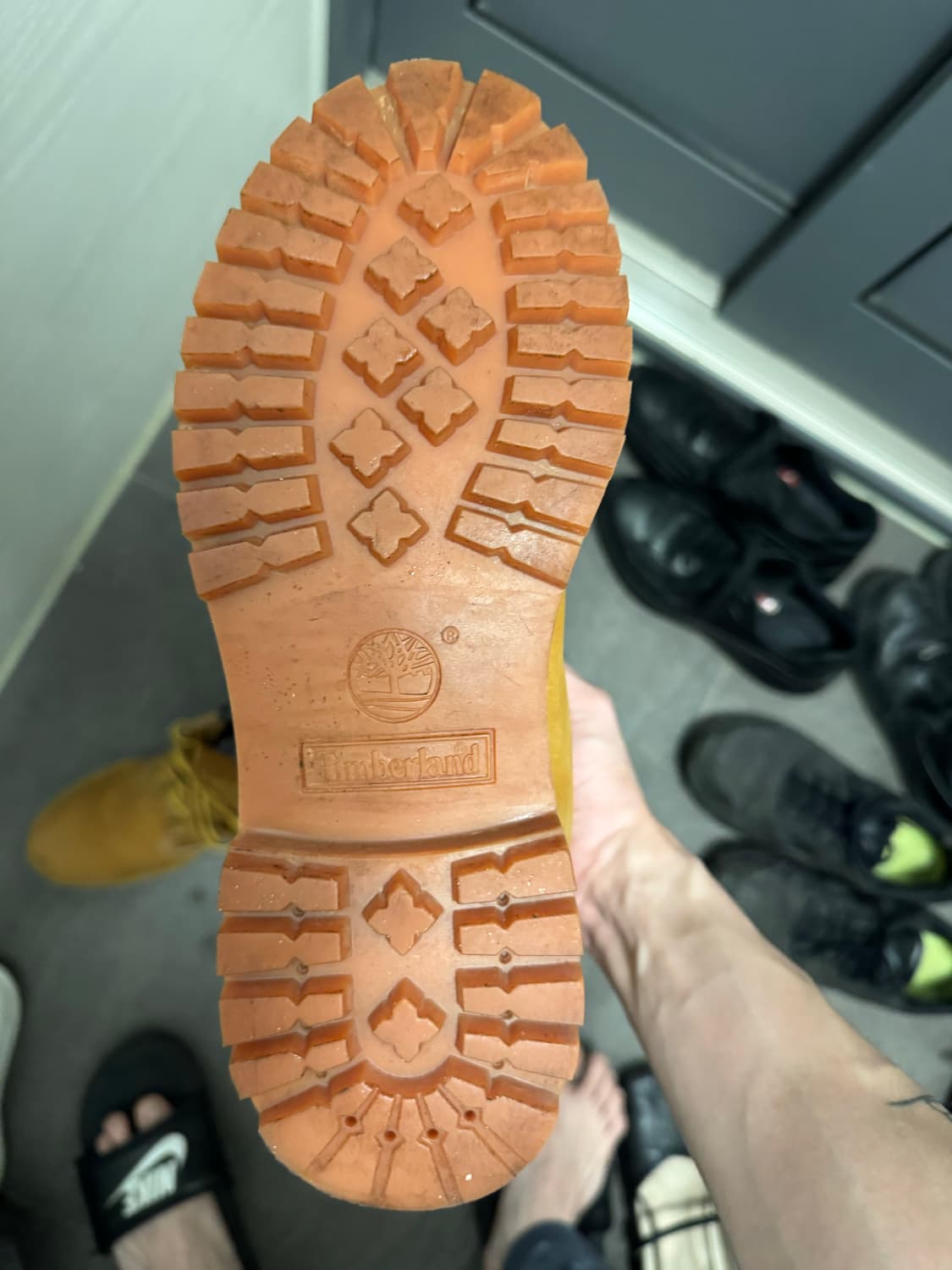 팀버랜드 프리미엄 6인치 워터프루프 부츠 위트 누벅 - 와이드 260 상품이미지5