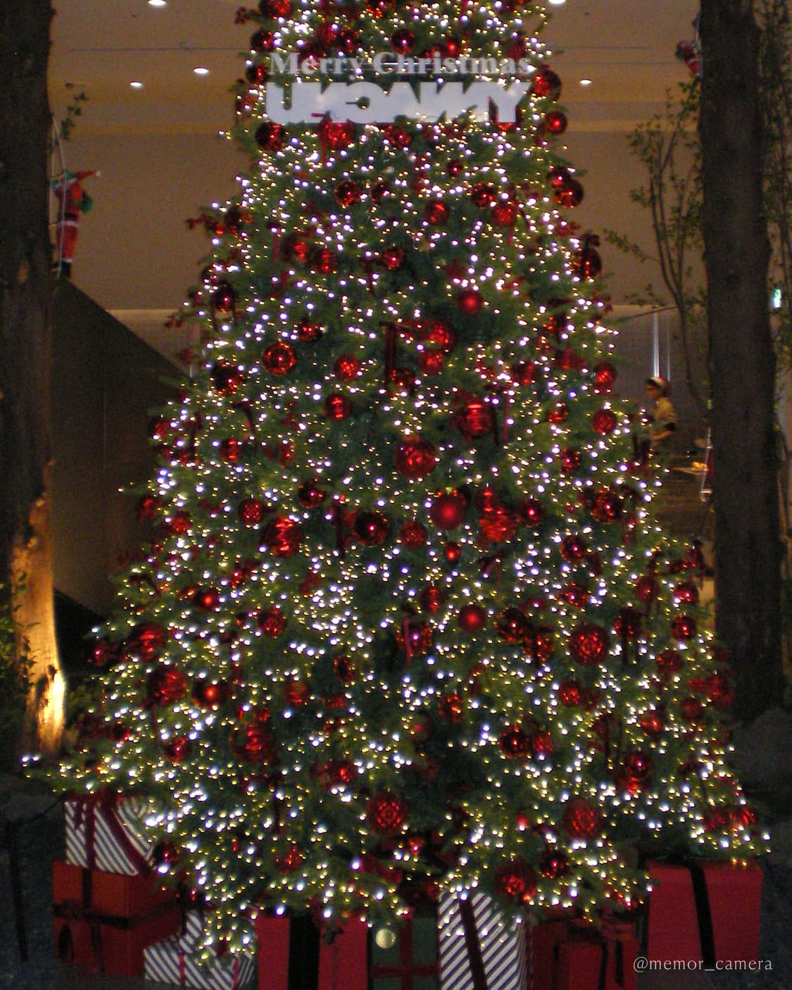 뽀용 작례/AA 건전지 사용🤍PENTAX OPTIO M20 펜탁스 디카 상품이미지10