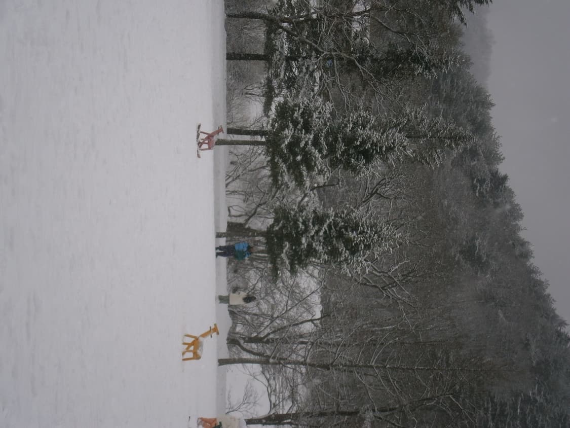 올림푸스 gv120 작례o 상품이미지7