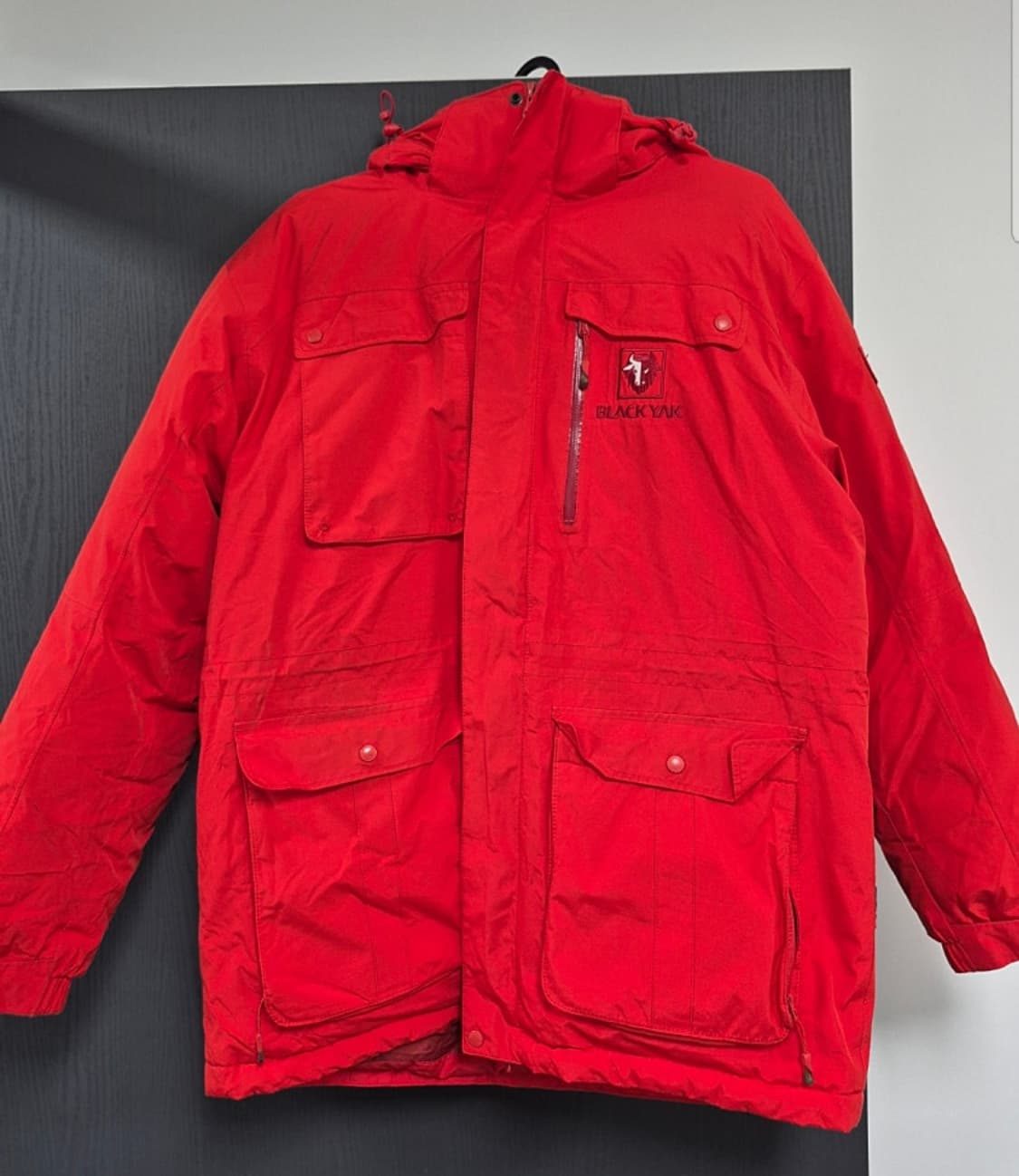 블랙야크 정품 고어텍스 구스패딩 100사이즈 팝니다  상품이미지1