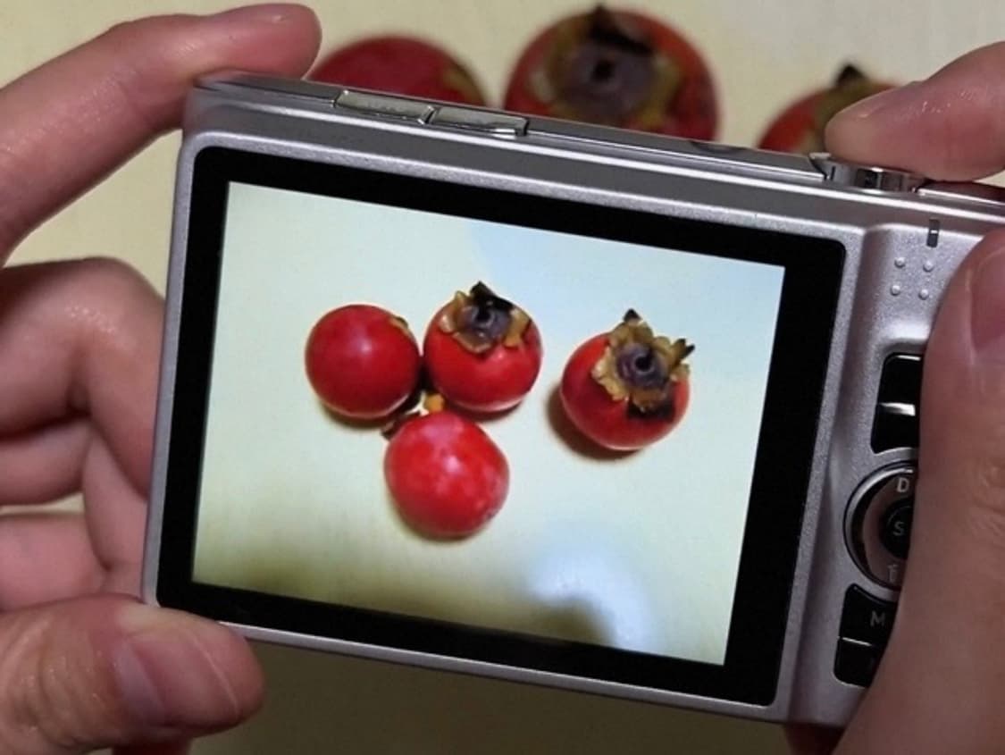 디카 카시오 엑슬림 h15 디지털카메라 상품이미지5