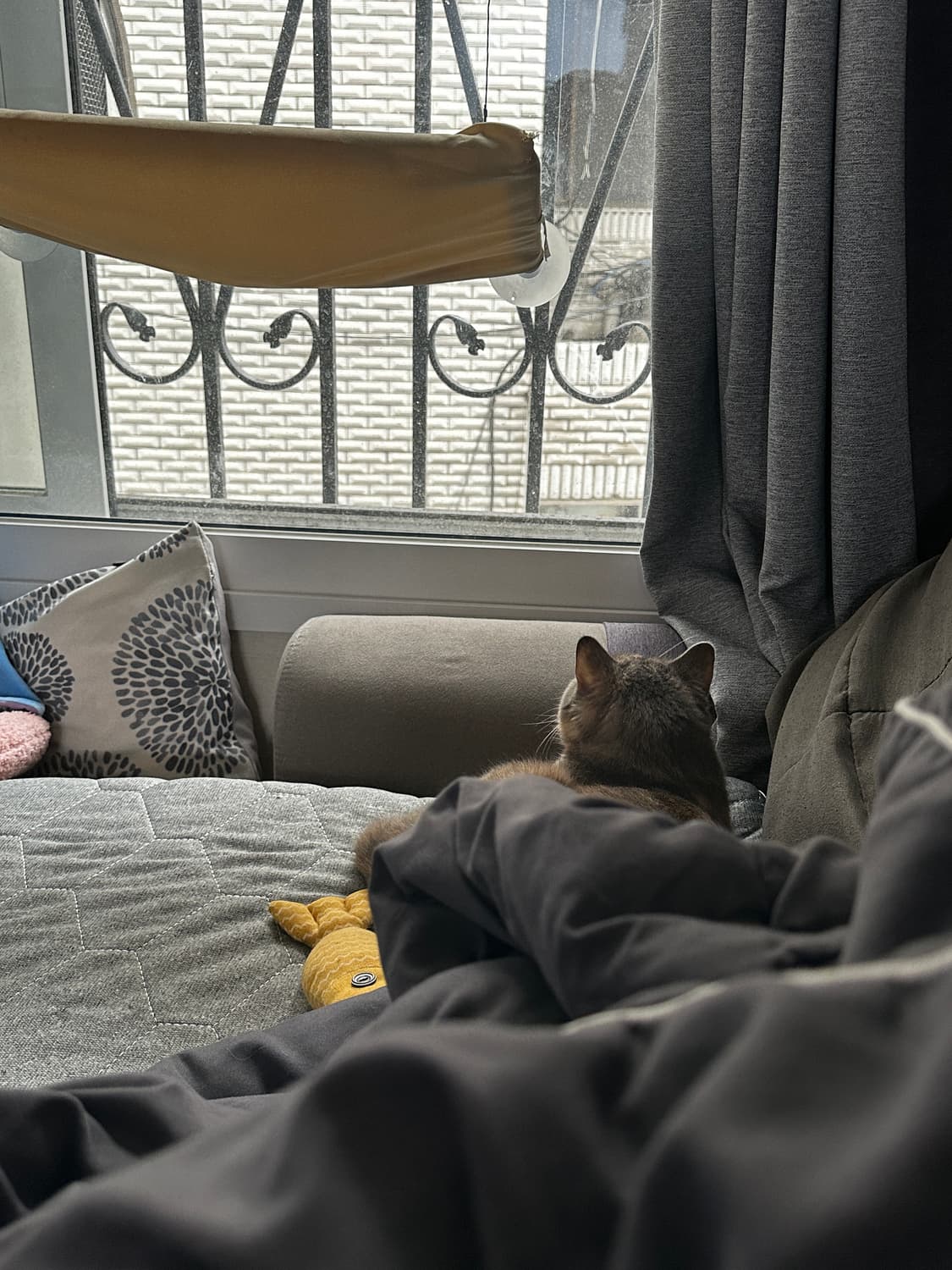 175 결제창 상품이미지1