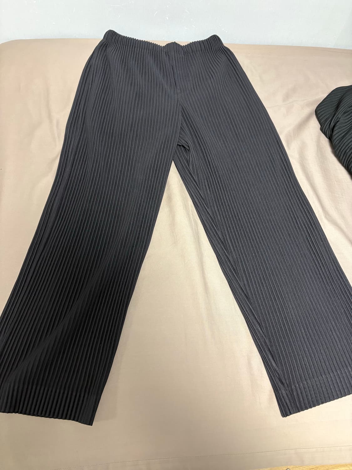 이세이미야케 옴므플리세 먼쓸리 블랙팬츠1 상품이미지3