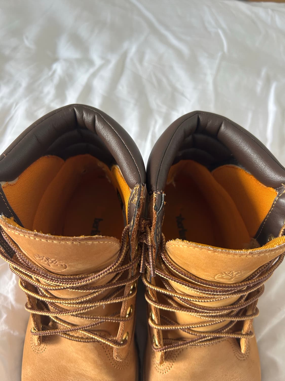 팀버랜드 6인치 워터루프 상품이미지3