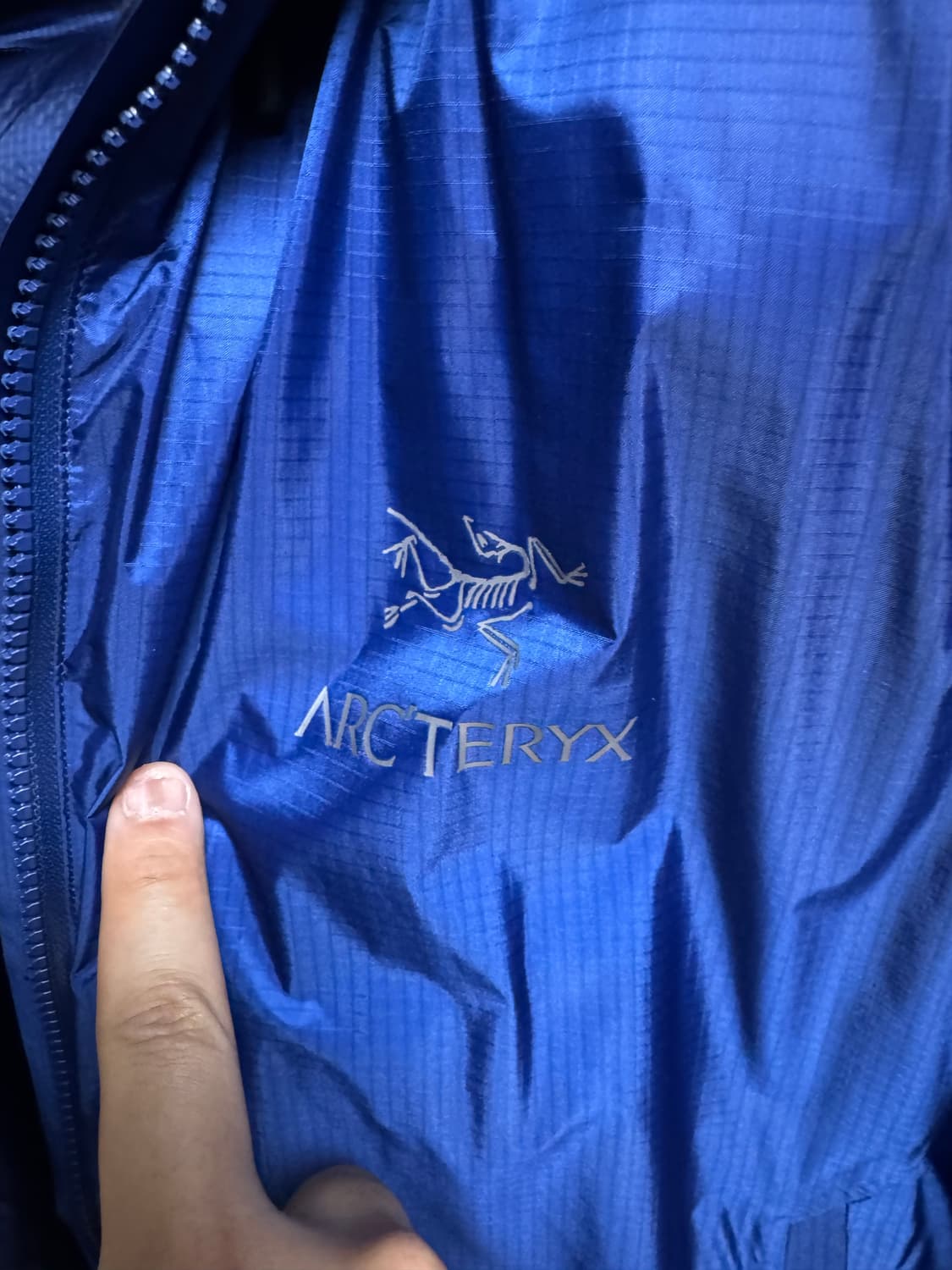 L) 아크테릭스 파이어비 블루 상품이미지3