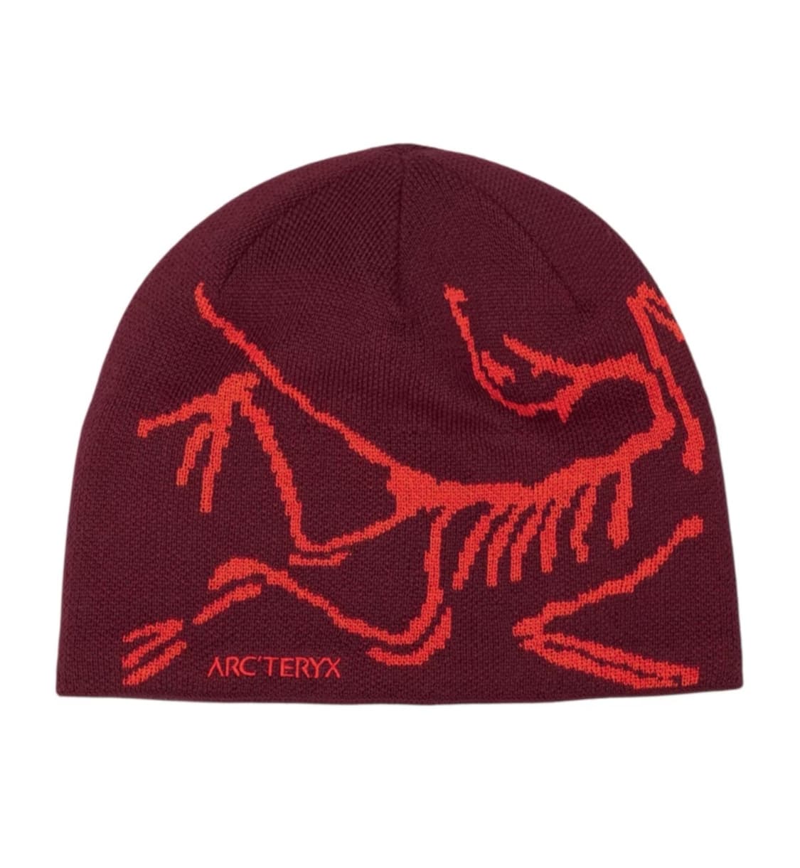 아크테릭스 버드 헤드 토크 비니 상품이미지1