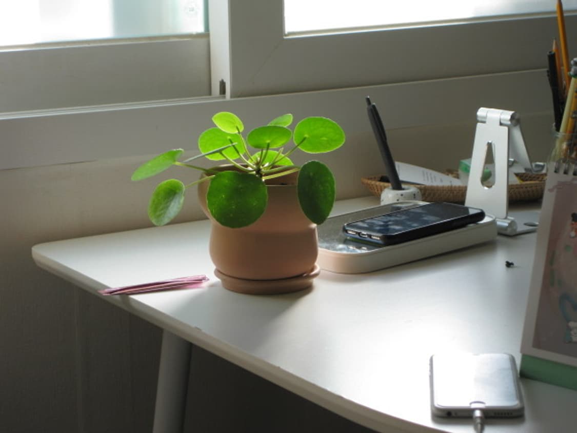 캐논 익시 25is,익서스 85is/작례 ㅇ 상품이미지7