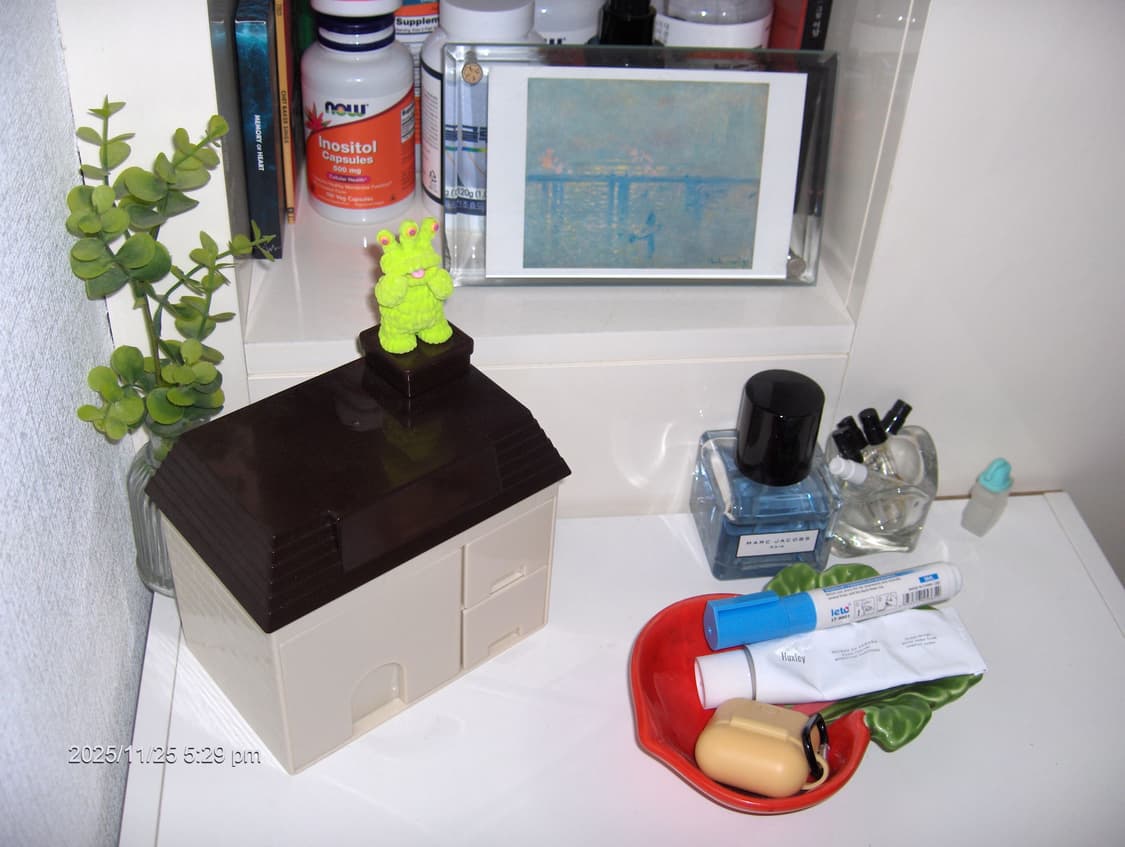 HP 포토스마트 R717 빈티지 디지털카메라 상품이미지10