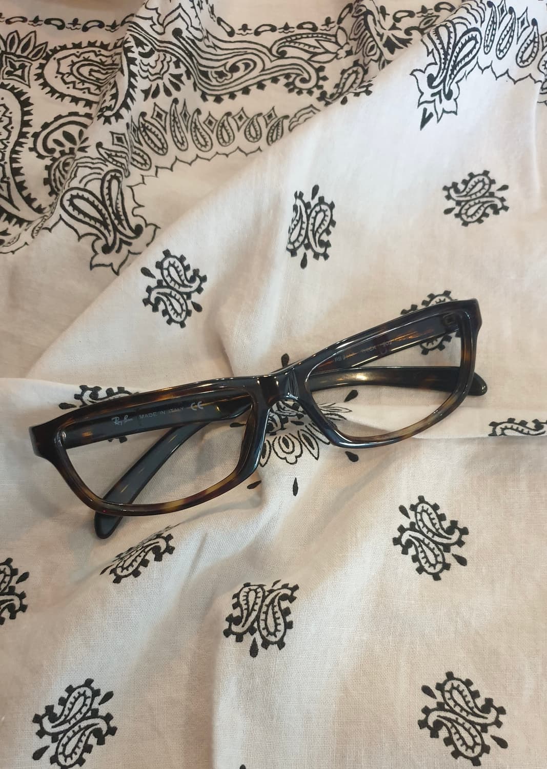 Ray-Ban THICK 00s Made in Italy 상품이미지3