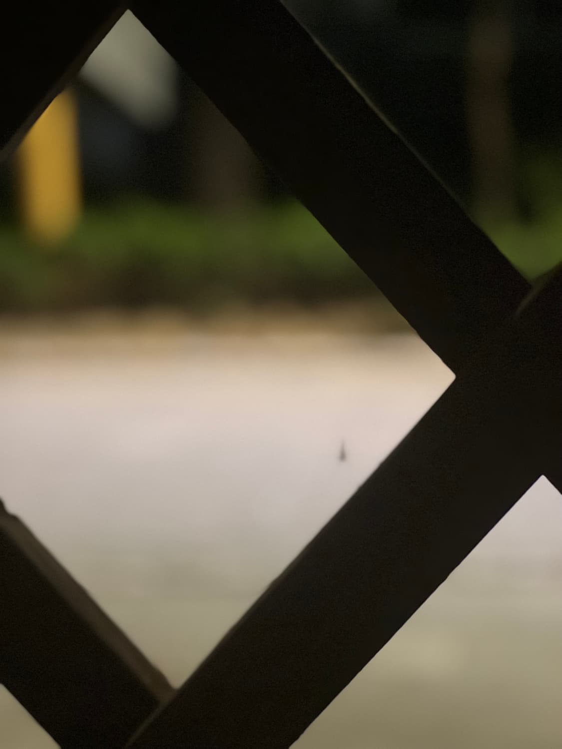 Pa님 결제창 상품이미지1