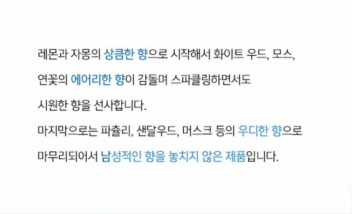 메르세데스 벤츠 맨 블루 오드뚜왈렛 100ml 상품이미지5