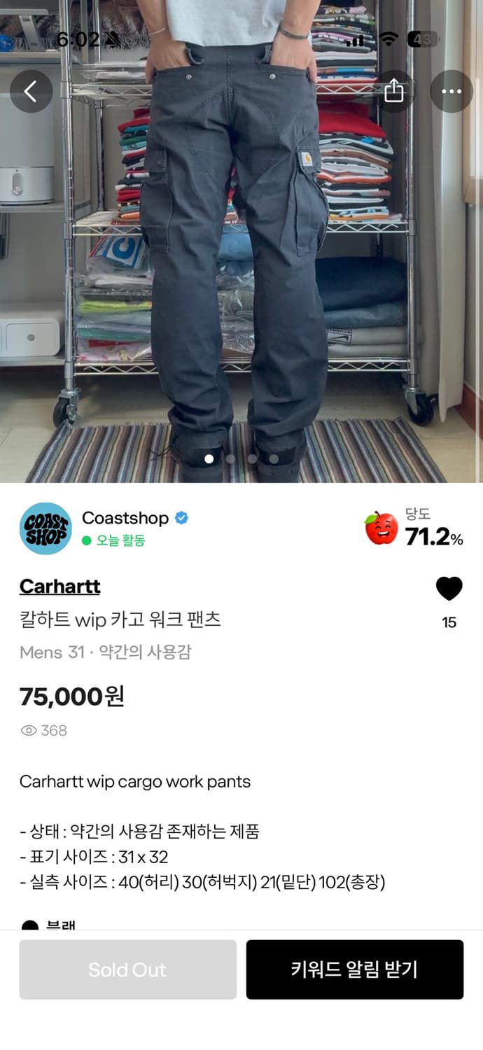 칼하트 카고팬츠 상품이미지1