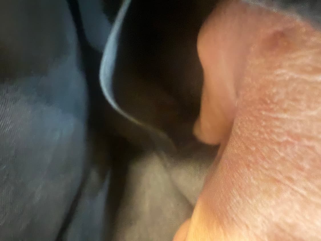 정품 루이비통 타이가 로만 메신저백 팝니다 상품이미지9