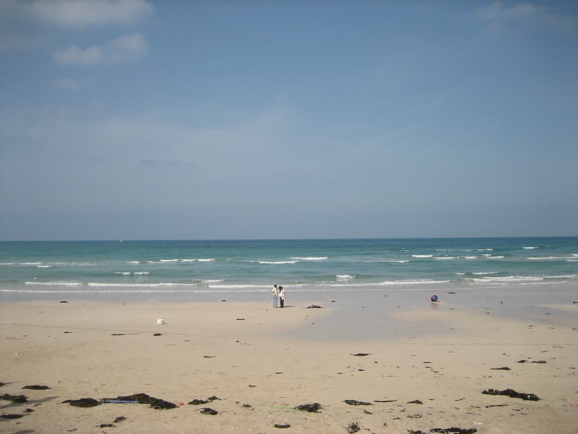 캐논 익시 60 (익서스 55) 디지털카메라 상품이미지8