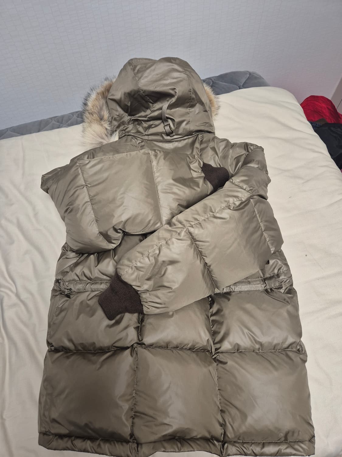 반츠 코요테퍼 카라코람 판매합니다. 상품이미지3