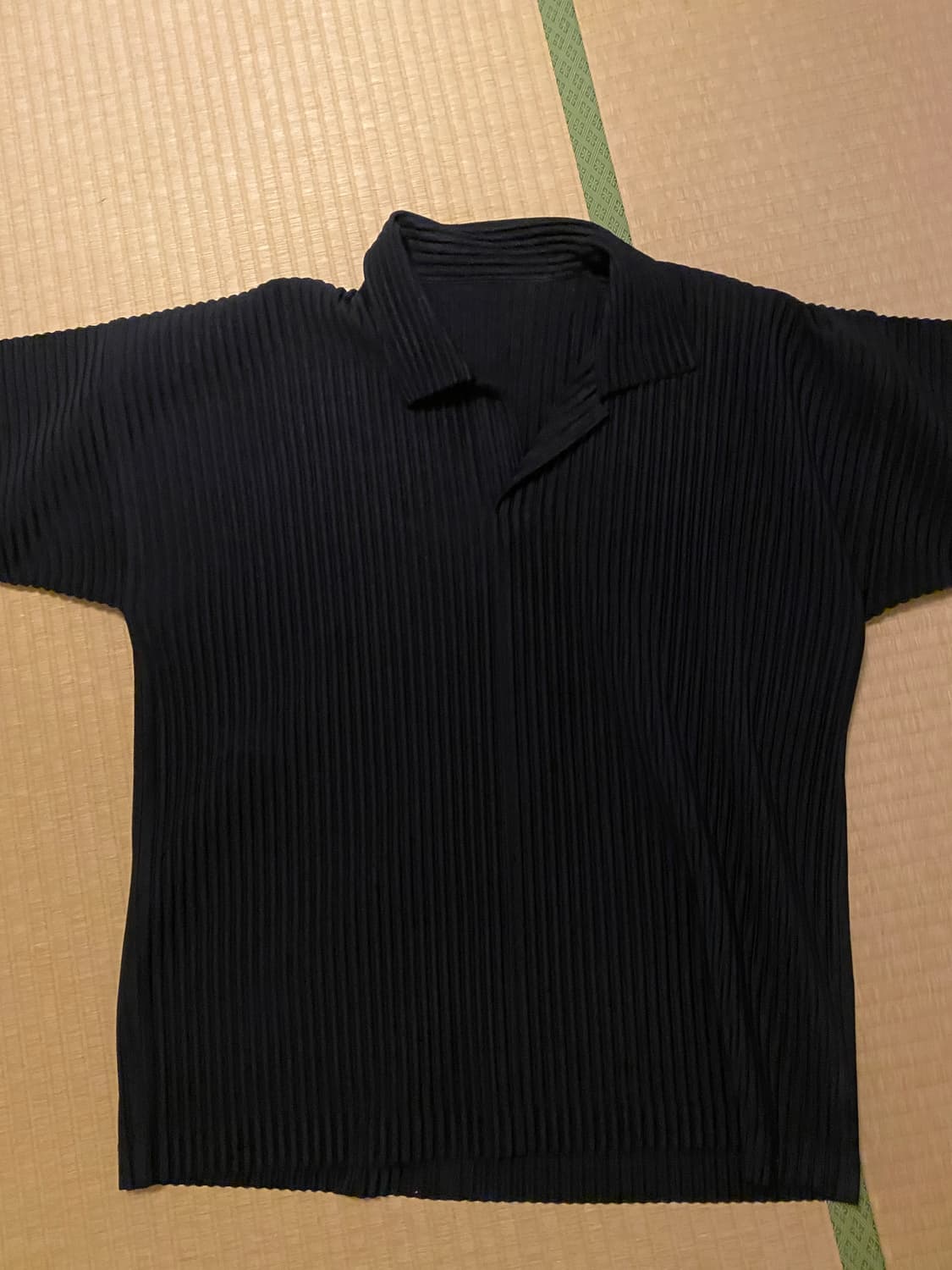 이세이미야케  옴므플리세 피케티 2사이즈 상품이미지1