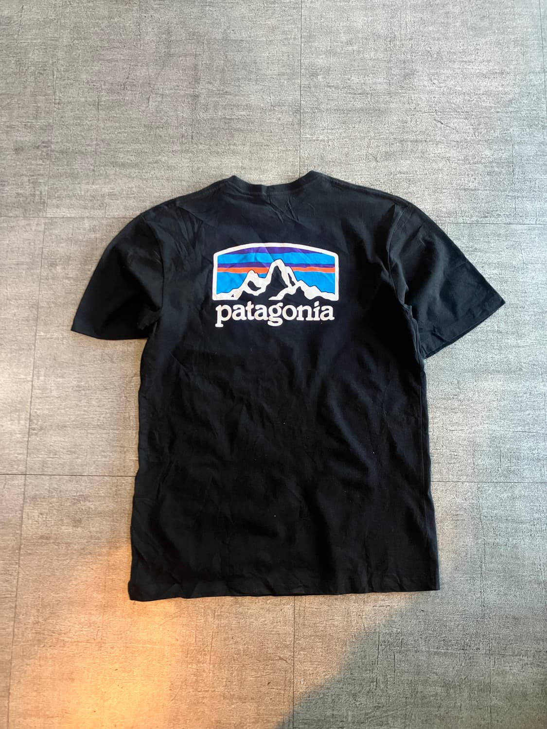 Patagonia  파타고니아 올드스쿨스트릿 백로고 반팔티셔츠 상품이미지1