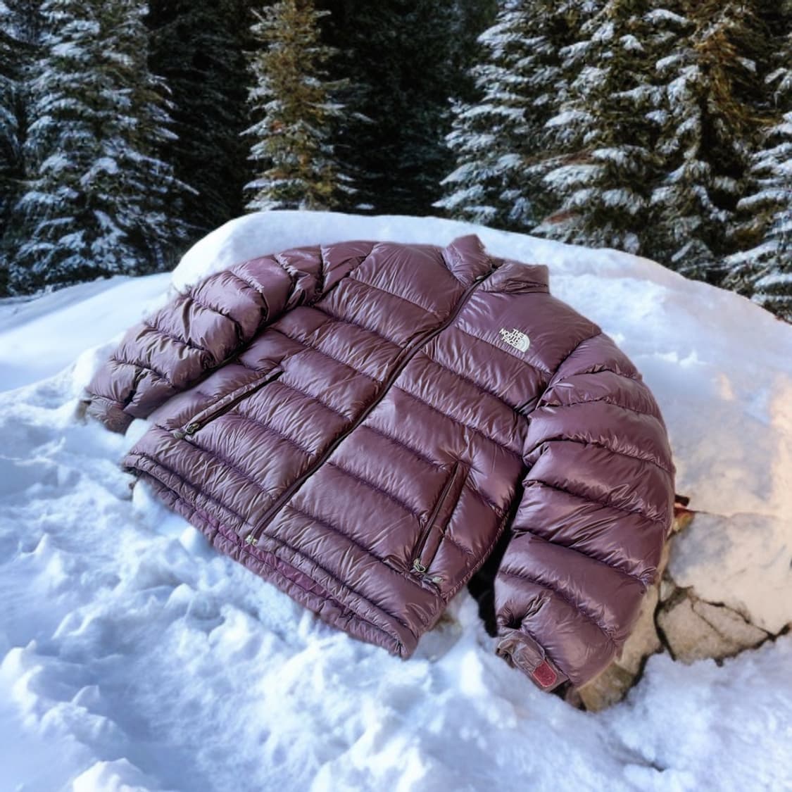 노스페이스 퍼텍스 퀸텀 마룬 초경량패딩 구스다운 상품이미지1