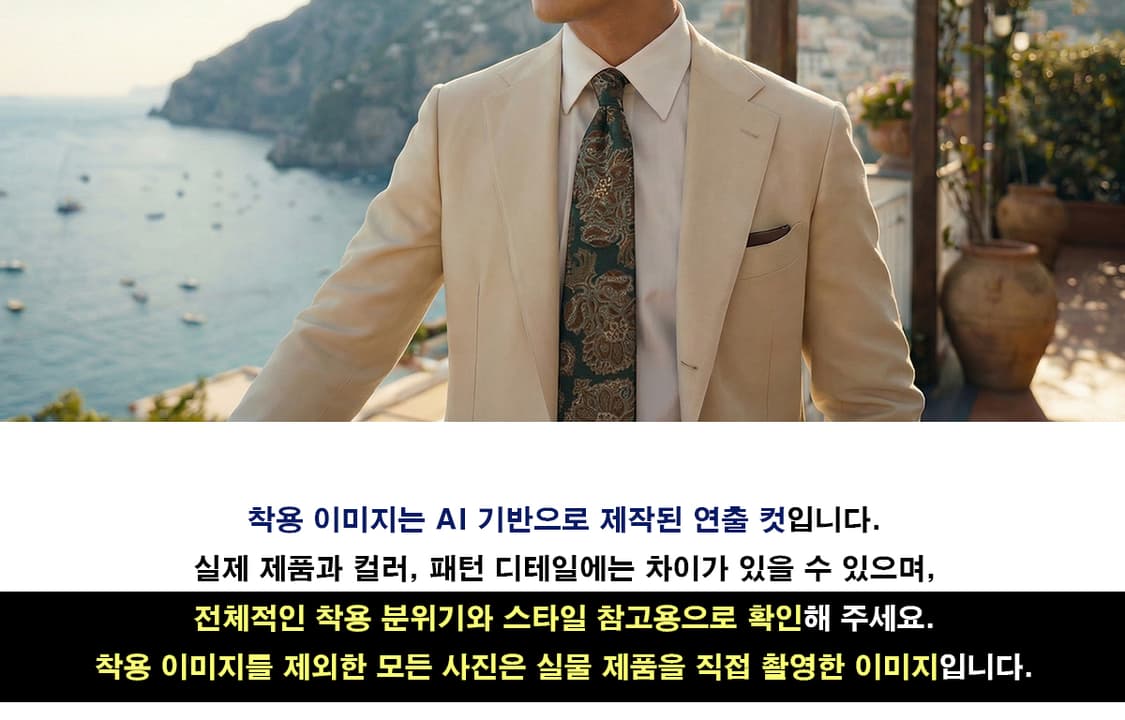 샤를 주르당 실크 페이즐리 패턴 넥타이 9.1cm B등급 A19563 상품이미지4