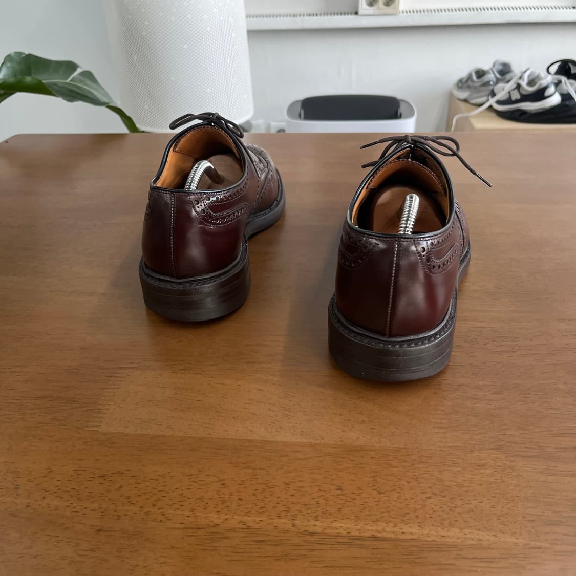 크로켓앤존스 팸브로크 윙팅 Uk8.5 상품이미지6