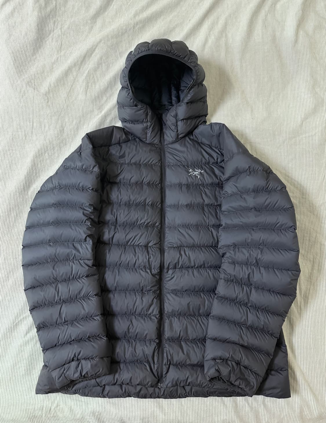 아크테릭스 세륨 후디 블랙 사파이어 상품이미지2