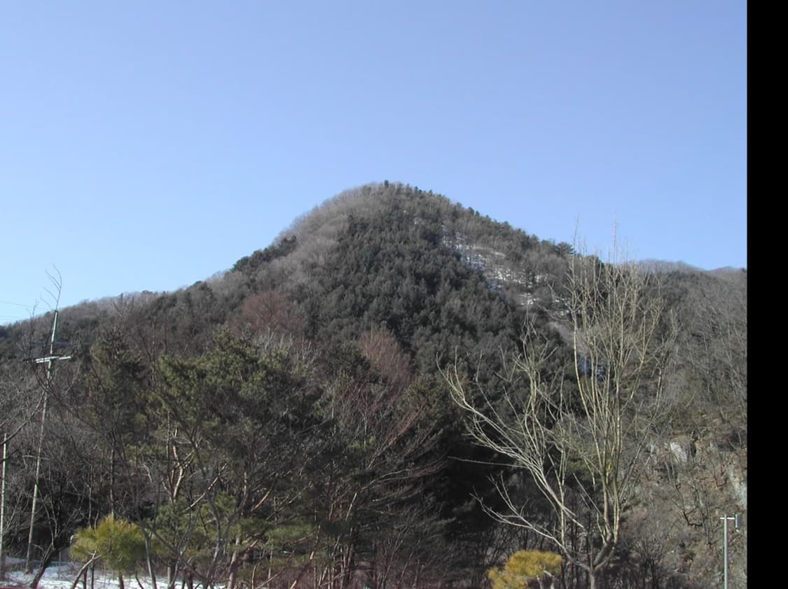 Nikon Coolpix 885 (Y2K 디카 감성) 상품이미지4