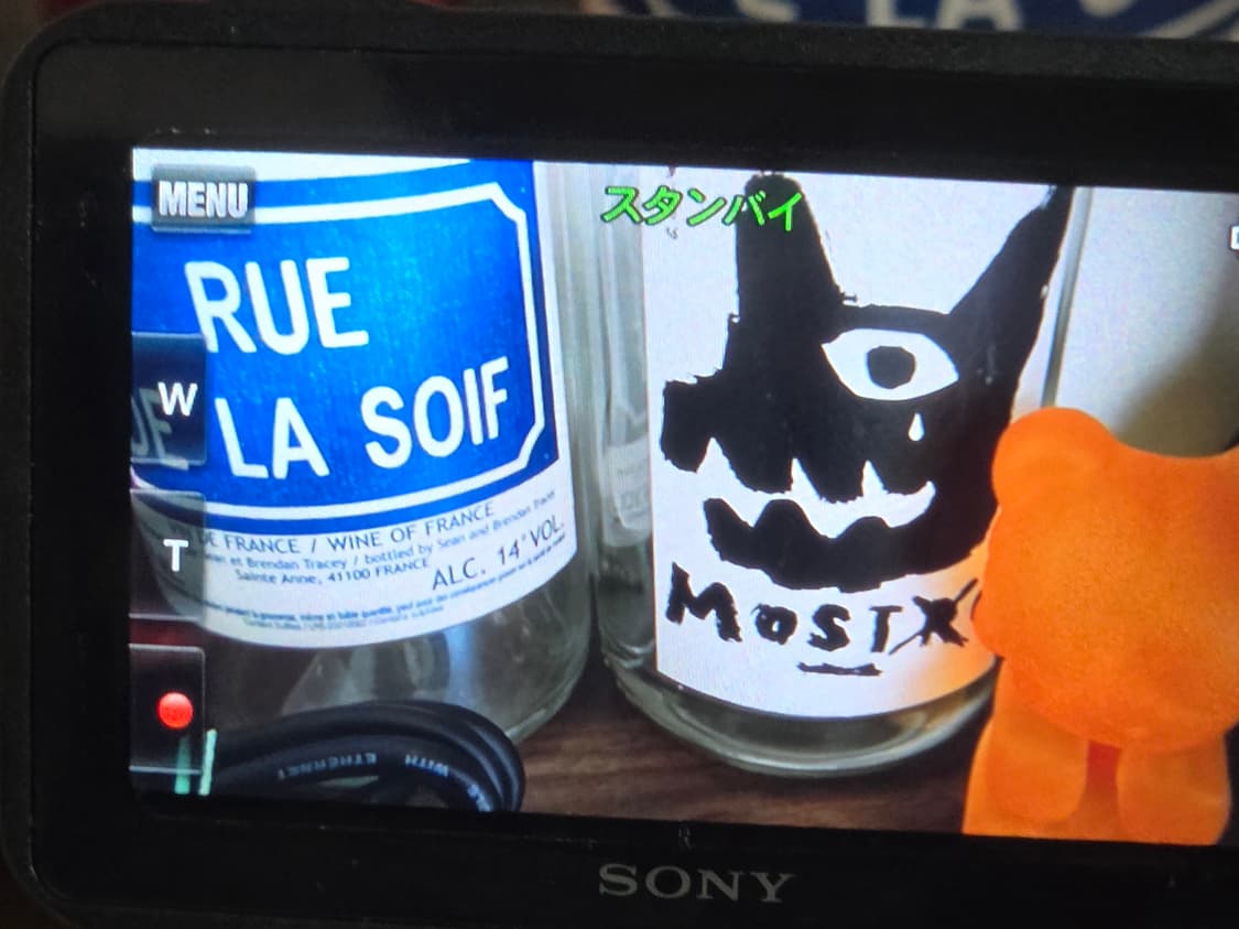 sony gw77v 방수 캠코더/디카 상품이미지2