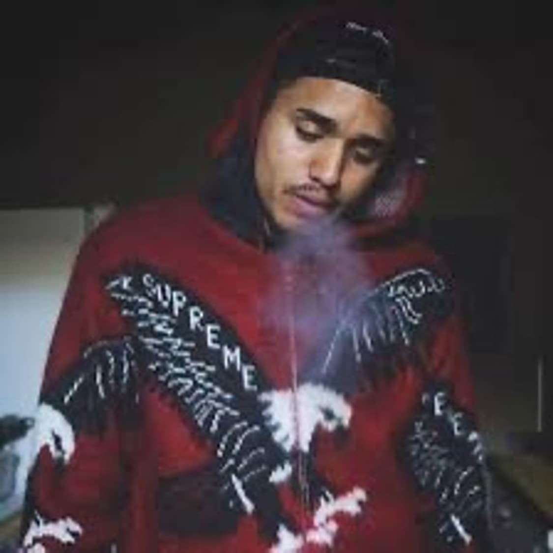 슈프림 독수리 후드집업 상품이미지4