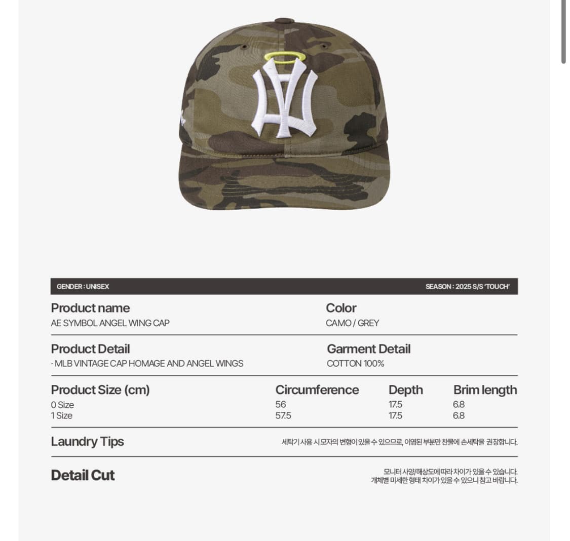 Aeae AE SYMBOL ANGEL WING CAP [CAMO] 1 상품이미지2