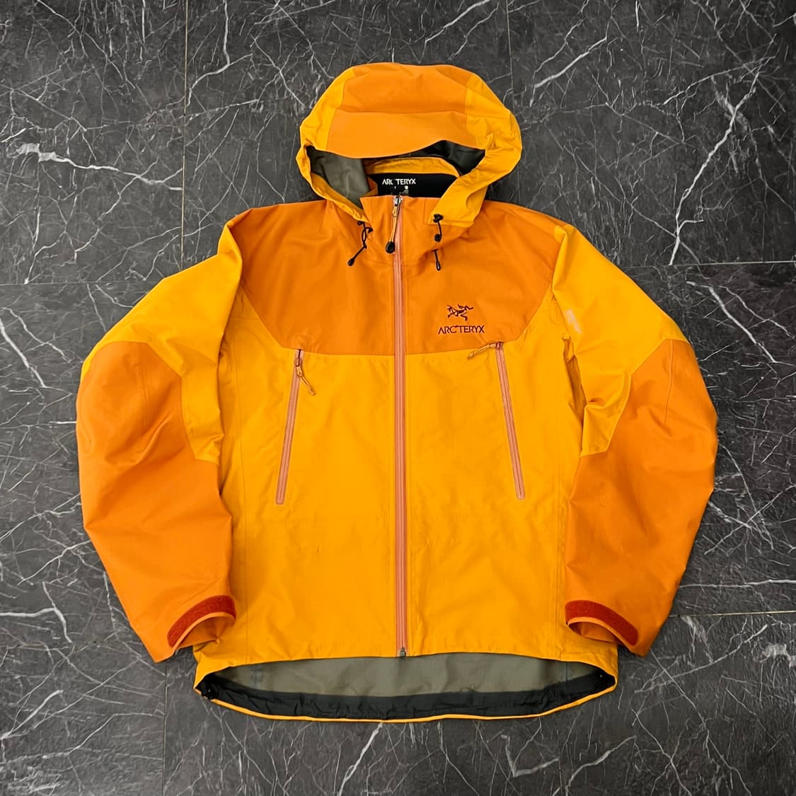 아크테릭스 베타 AR 고어텍스 프로쉘 후드 자켓 상품이미지2