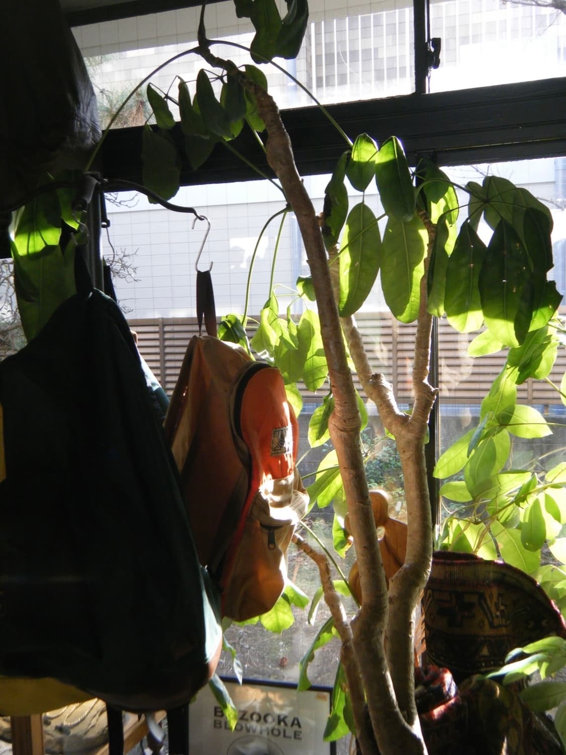 후지필름 파인픽스 Z30 빈티지디카 디카  상품이미지5