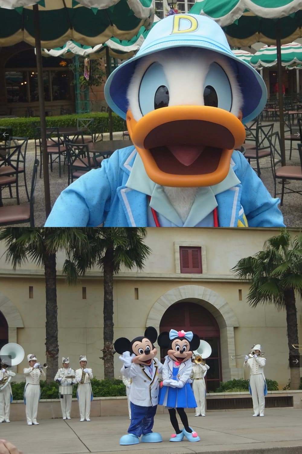 작례🫧𖠳ᐝ리코 RICOH PX 라임••🍋‍🟩 상품이미지7