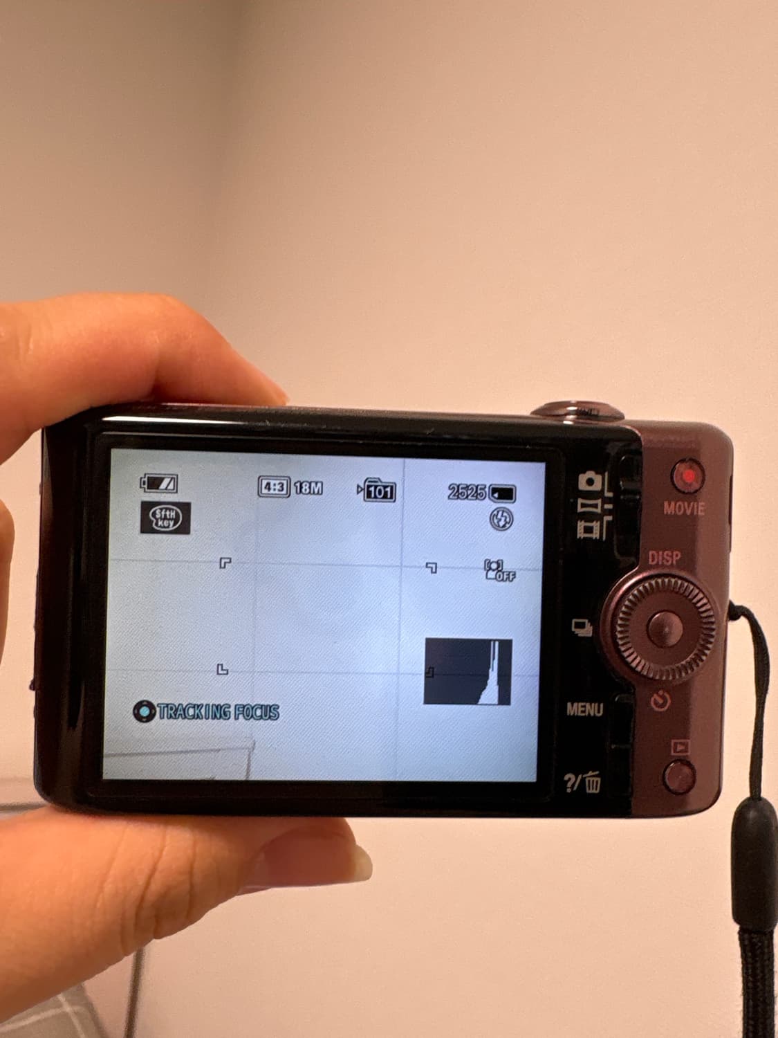 소니 사이버샷 DSC WX100 팝니다 상품이미지5