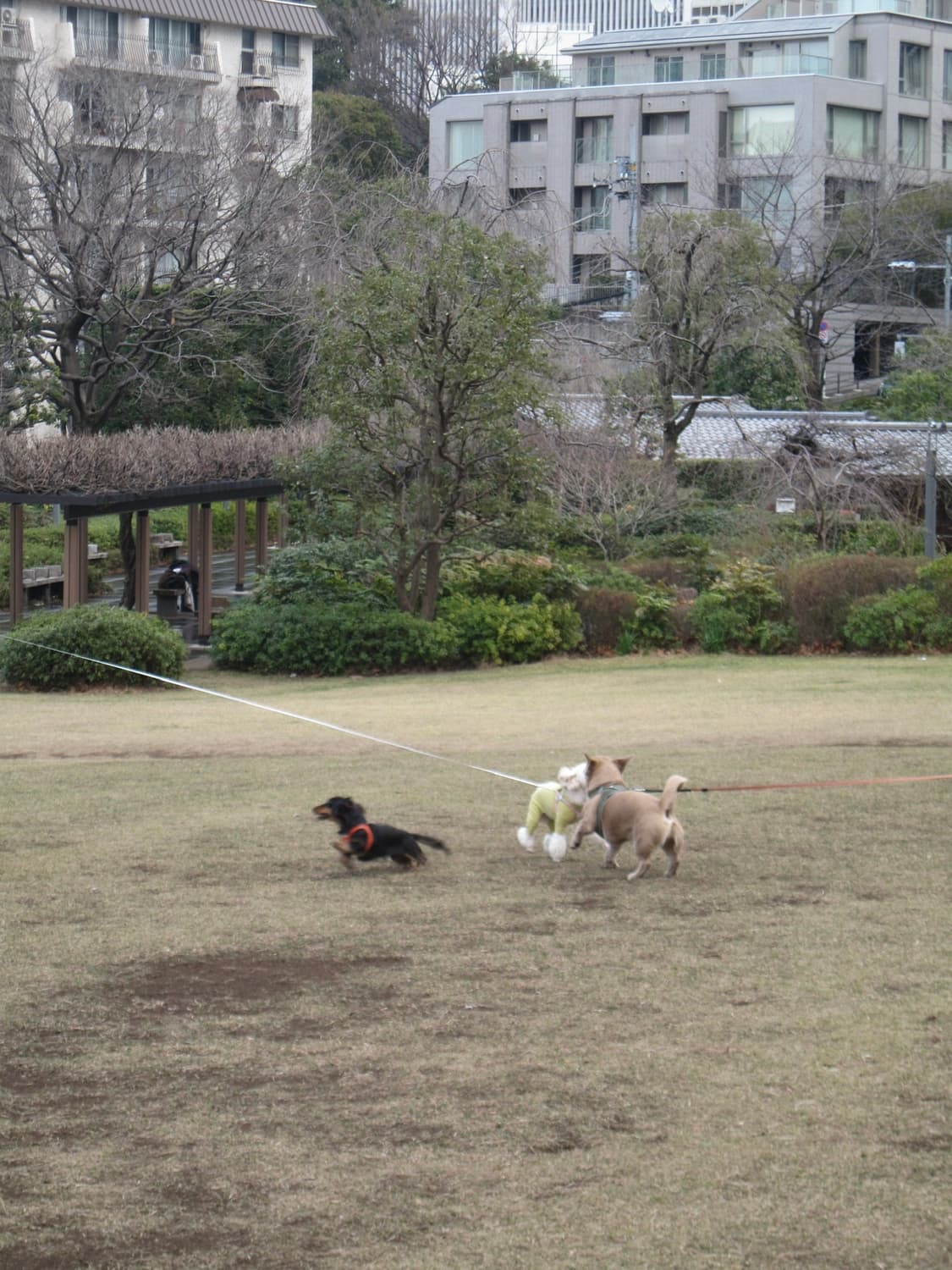 캐논 IXUS 980 IS 상품이미지5