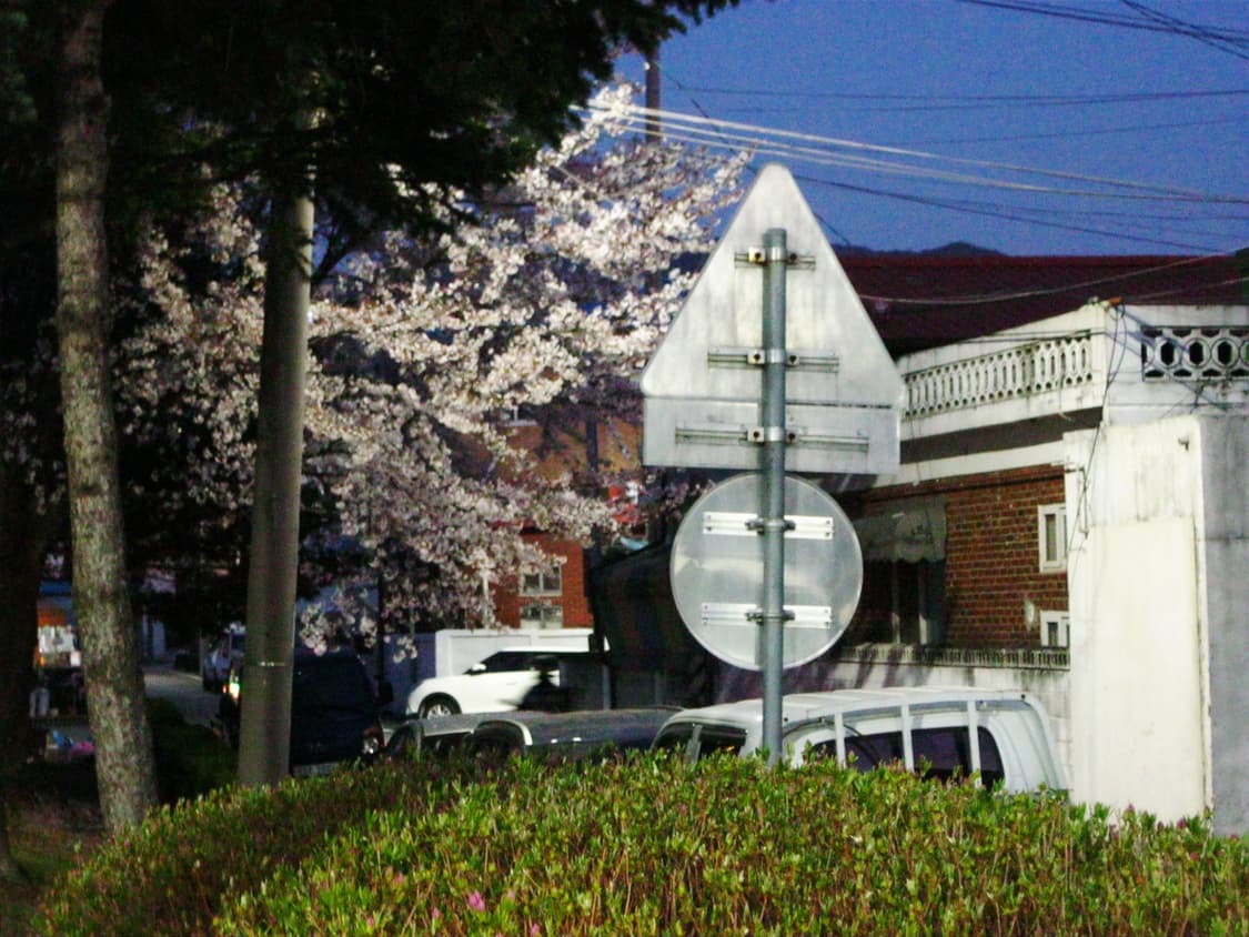 [바로사용가능/작례0] 캐논 파워샷 a3000is 빈티지 디카 상품이미지10