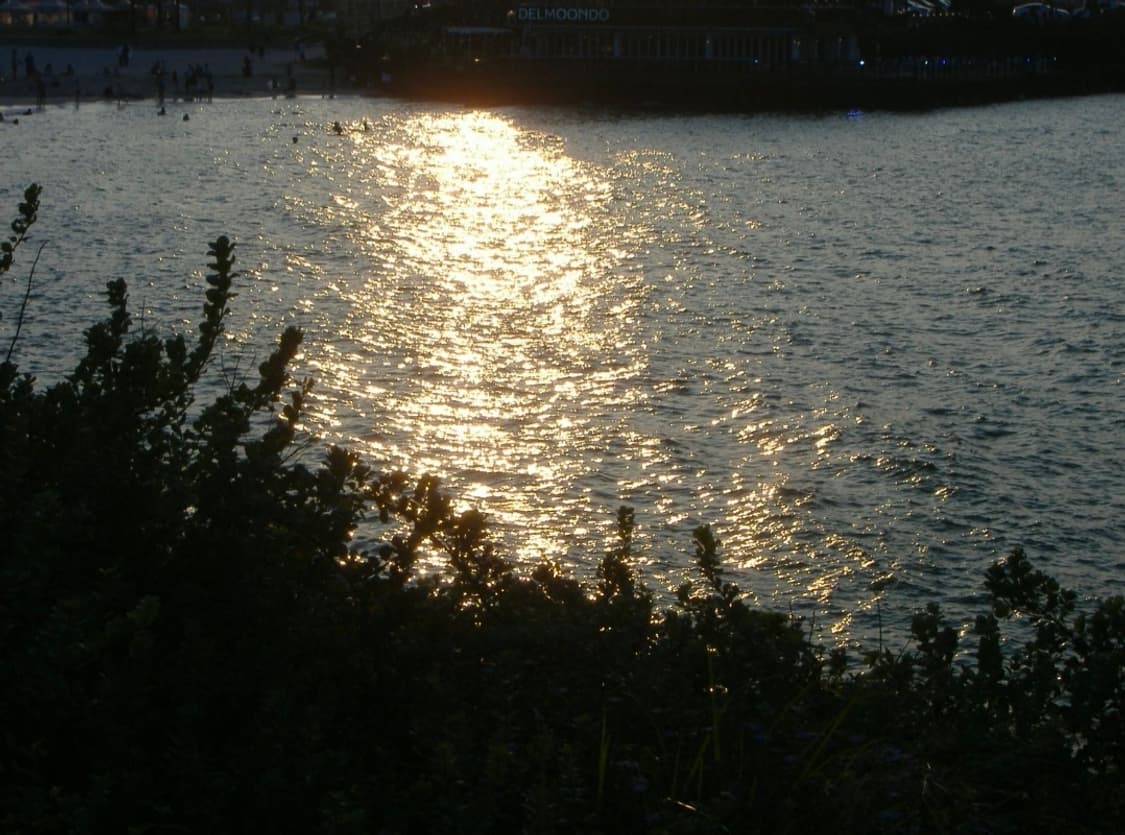 후지필름 파인픽스 A360(XD카드 포함, 작례O) 상품이미지9