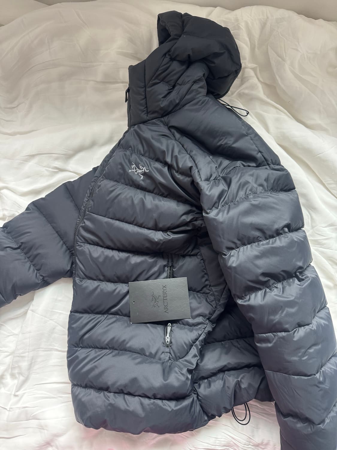 아크테릭스 토륨 후디 xl 상품이미지2