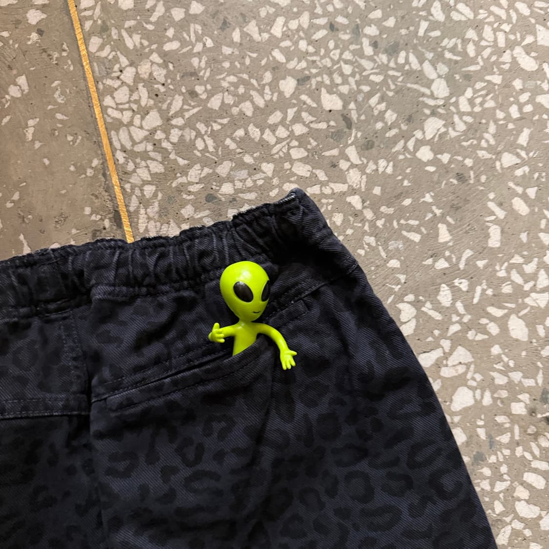 스투시 레오파드 비치 팬츠 상품이미지7