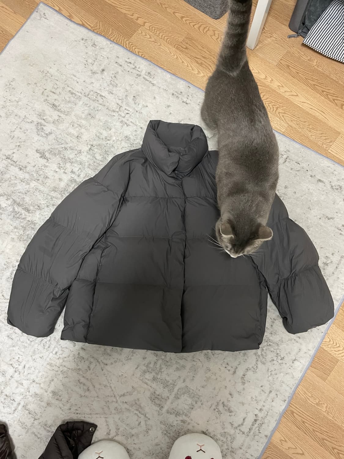 유니클로 파우더 소프트 패딩 차콜 L 상품이미지1