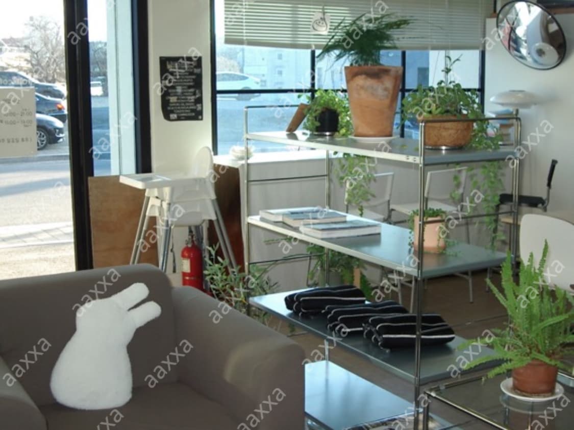 [풀박, 작례⭕️] 펜탁스 옵티오 230 pentax optio 상품이미지9