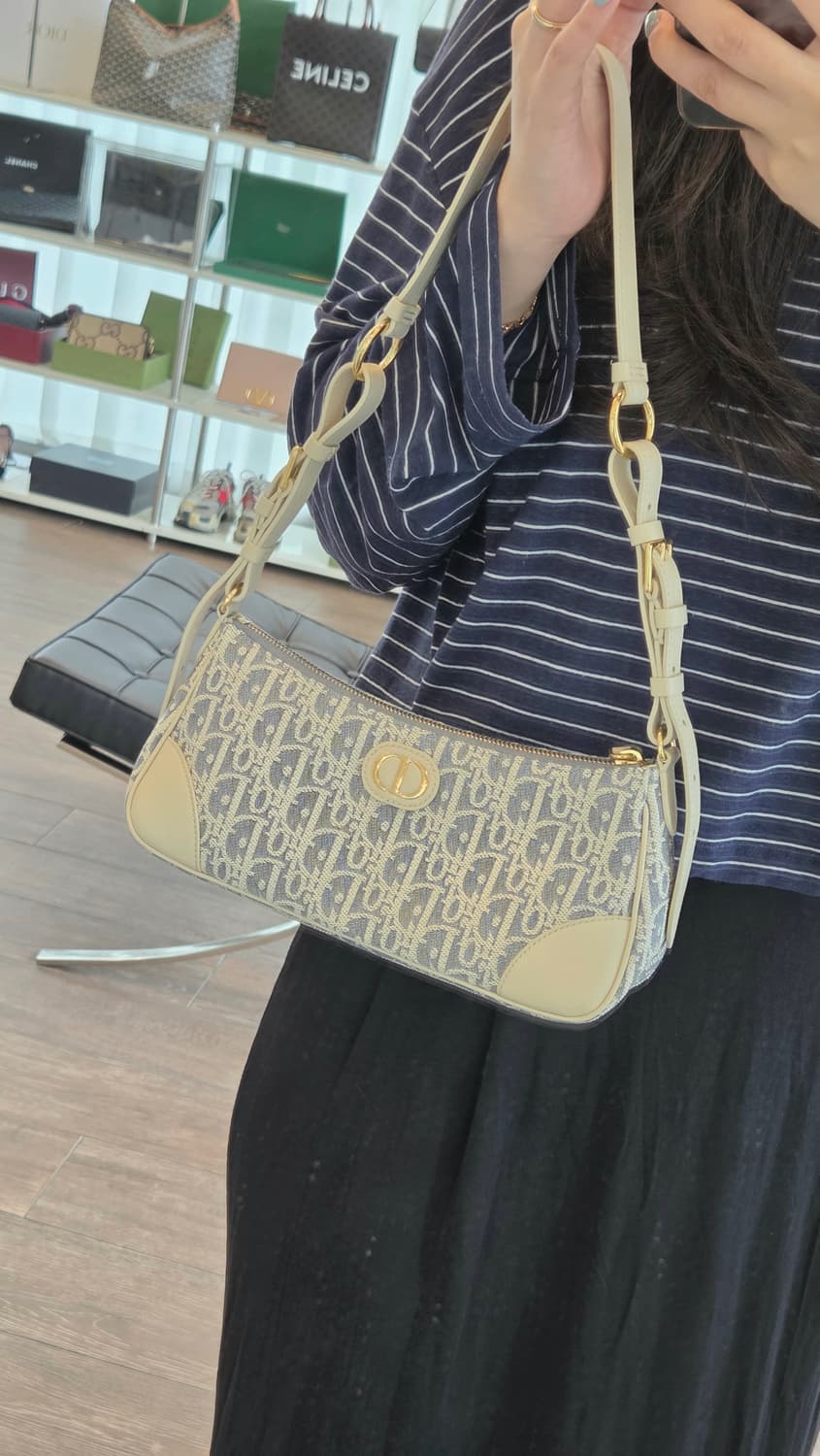 디올 오블리크 몽테인30 원더러스트 미니 S2398 상품이미지9